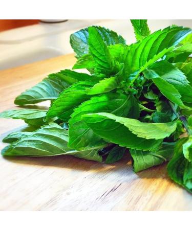 Spearmint Moroccan mint leaves 50g all natural Mentha spicata var. cripsa Dried loose Leaves. - Buy Online on SooperMarket.com