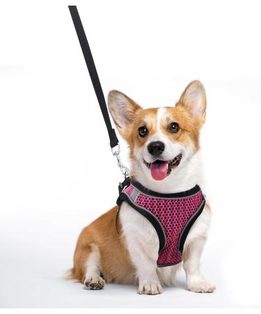 Ankilo Upgraded Harness with Leash Set Escape Proof Dog Vest Harnesses Vest Harnesses with Soft Mesh and Reflective Bands No Pull Small Dog Harness for Cats and Small Dogs (Rose-red S) - Buy Online on SooperMarket.com