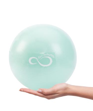 Live Infinitely 9 Inch Barre Pilates Ball & Hand Pump Anti Burst Mini Ball & Digital Workout eBook Included for Yoga, Exercise, Balance & Stability Training  Comes with Mesh Carrying Bag Mint 9 Inch