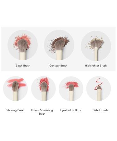 Soft Comfortable Grip 10pcs Eye Shadow & Concealer Brush Set | Premium Makeup Brushes for Creamy & Powder Application - Buy Online on SooperMarket.com