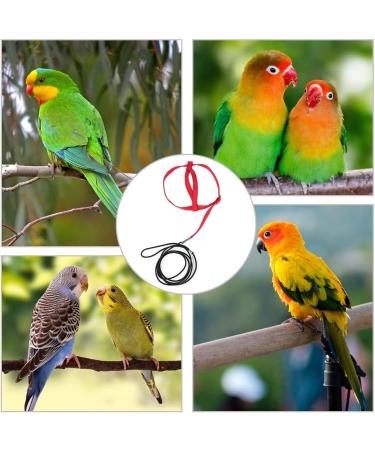 Buy Portable 8-Shape Parrot Flight Dishes - Adjustable Bird Bowls for Small & Medium Parrots | Perfect for Lovebirds & Cockatiels - International Shipping Available - Buy Online on SooperMarket.com