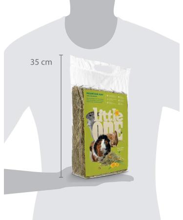 Little One Mountain Meadow Hay with Dandelion - 400g Pack | Premium Rabbit & Small Animal Food - Buy Online on SooperMarket.com