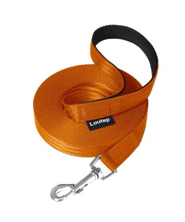 Loutep Dog Training Leash 5m Nylon Long Leash with Padded Handle and Heavy Duty Swivel Hook Orange 5m Orange