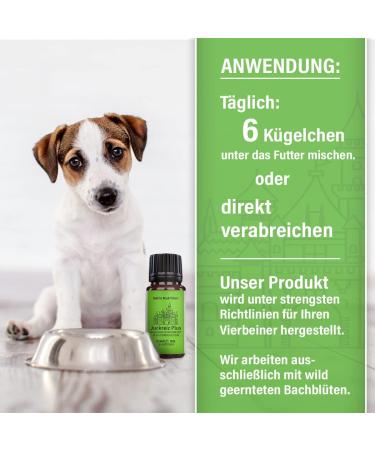 Buy Saint Nutrition Itching Plus Sucrose Beads | Dietary Supplements for Dogs & Cats | 10g - International Shipping Available - Buy Online on SooperMarket.com