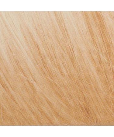 L'Oreal Paris Super Blonde Creme Lightening Kit 205 - Light Brown to Super Bleach Blonde - Buy Online on SooperMarket.com