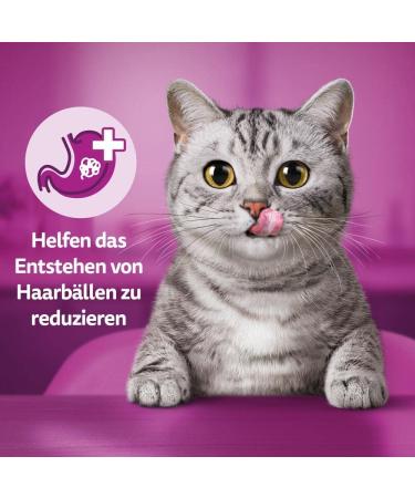 Whiskas Anti-Hairball Cat Snack - 8x60g - Prevent Hairballs with Delicious Treats | International Shipping Available - Buy Online on SooperMarket.com