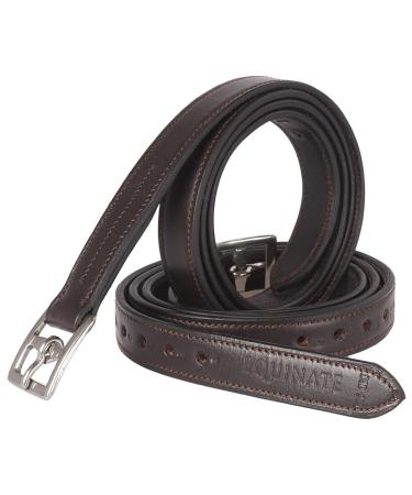 Equinate Superior Leather Stirrup Straps with Stainless Steel Buckles 130 Brown
