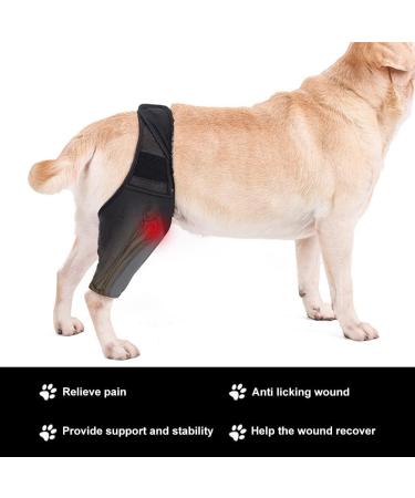 Pet Dog Injury Knee Brace Leg Inflammation Pain Alleviate Leg Support Sheaths for Dogs Outdoor Walking Accessories - Buy Online on SooperMarket.com