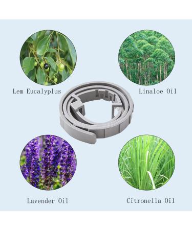 Teck Neck Band for Dogs & Cats | Adjustable Tick & Flea Collar | 100% Natural Ingredients | Up to 8 Months Protection - Buy Online on SooperMarket.com