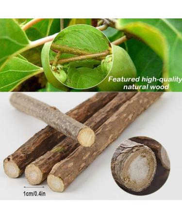 Aidiyapet Cat Catnip Sticks Cat Chew Sticks Cat Catnip toys Matatabi Silvervine Chew Sticks Cat Dental Chews for Cat Teeth Cleaning Cat Toys for Indoor Cats 30 Count (Pack of 1) - Buy Online on SooperMarket.com
