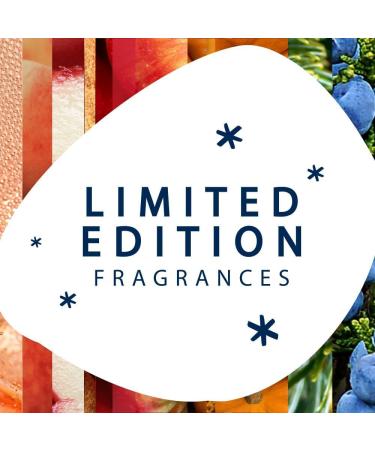 Glade PlugIns Air Freshener Starter Kit Scented and Essential Oils for Home and Bathroom Twinkling Pine & Cedar 1 Warmer and 1 Refill Pine Wonderland - Buy Online on SooperMarket.com