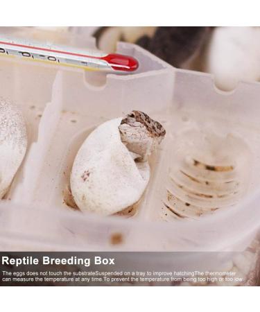 Cosiki Transparent Durable Professional Lizards Reptile Incubation Box Reptile Hatchery Box Reptile Tank Reptile Breeding Box for Hatching Gecko Lizard - Buy Online on SooperMarket.com