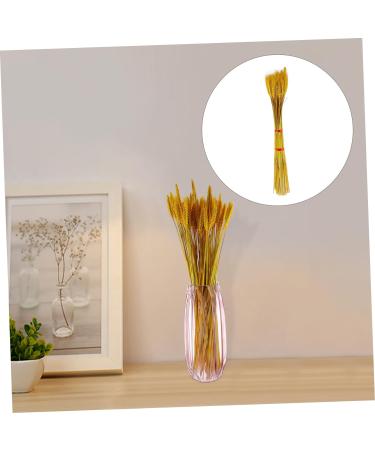 Abaodam 100pcs Dried Wheat Ears Bouquet Dried Rabbit Tail Grass Dried Floral Dried Wheat Stalk Picks Decked Wedding Ceremony Decorations Desktop Wheat Ear Rural Dried Flowers. Real Flower Yellow 52X10CM - Buy Online on SooperMarket.com