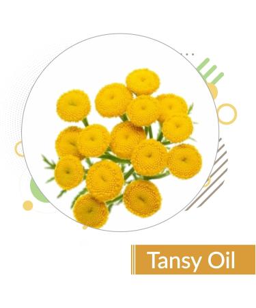 Crysalis Tansy (Tanacetum Vulgare) Oil |100% Pure & Natural Undiluted Essential Oil Organic Standard/Calm & Relaxes Delicate & Troubled Skin Best Oil For Breakouts-Prone Skin-30ml Dropper - Buy Online on SooperMarket.com