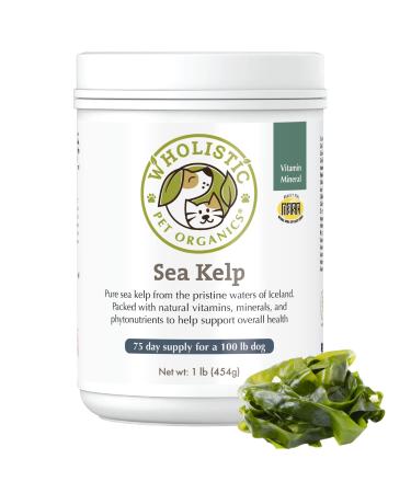 Wholistic Pet Organics Sea Kelp: Icelandic Dog Sea Kelp - Organic Kelp Powder with Iodine, Iron, Calcium and Antioxidants - Sea Kelp Supplement for Dogs Teeth, Thyroid Function, Skin and Coat 1 lb