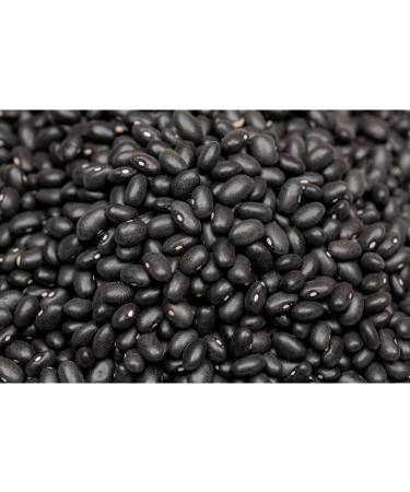 Buy Gourmet Black Beans | Dried Whole Beans - Natural Protein Boost (400g) | International Shipping Available - Buy Online on SooperMarket.com