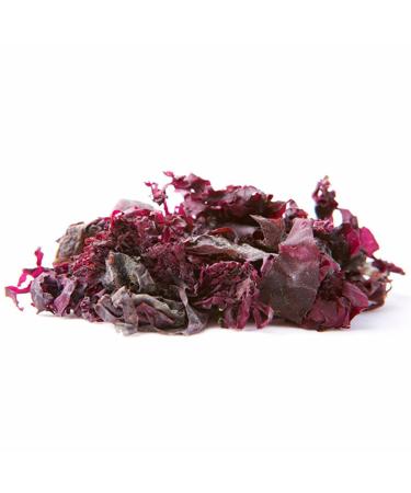 Buy Dulse Bio Atlantic Algae Leaves - Organic Raw Wild Seaweed (40g) | Vegan Umami Vegetable Bacon | Pureeraw - International Shipping Available - Buy Online on SooperMarket.com