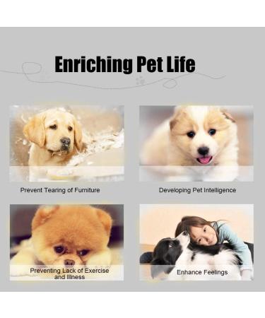 Smandy Dog Door Bell - Training Bells for Pets & Puppies | Communicate Cleanliness & Potty Training | White - Buy Online on SooperMarket.com