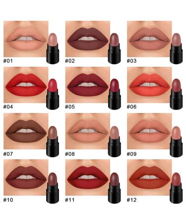 12Pcs Capsule Pills Lipstick Mini Matte Lipstick Set | Dark Brown Red Nude Lipstick Samples - Matte Makeup Kit for Women & Teens - Buy Online on SooperMarket.com