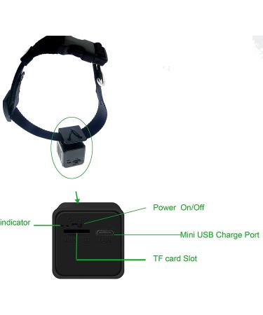 Wireless Rechargeable WiFi Pet Collar Camera Recorder Tracker - 720P HD with Night Vision - Bigger Size - Behavior Observation - Buy Online on SooperMarket.com