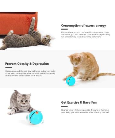 WWVVPET Interactive Cat Toy Ball with LED Light - 360 Self-Rotating USB Rechargeable | Fun Hunting Instinct Stimulation for Cats - Buy Online on SooperMarket.com