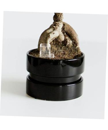 Balacoo Pet Water Feeder Ants Watering Cup Ants Drinking Bowls Water Feeding Cup for Ants Nest Plastic - Buy Online on SooperMarket.com
