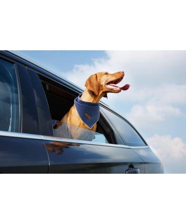Lionet Paws Dog Bandana Headscarf - Blue Dotted Triangular Scarf for Dogs (Pack of 1) - Stylish Pet Accessory for International Shipping - Buy Online on SooperMarket.com