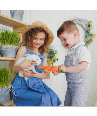 Natural Timothy Hay Sticks for Small Pets - Handmade Rabbit & Guinea Pig Toys - Buy Online on SooperMarket.com