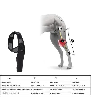 Hip Brace for Dogs - Flexible Hip Brace for Dogs Dog Hip Joint Brace for Torn ACL Patella Luxation Osteoarthritis Limping from Joint Hip Dysplasia Kot-au Black Medium - Buy Online on SooperMarket.com