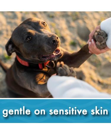 Oatmeal Aloe Vera Dog Shampoo for Dry Itchy Flaky Skin Gentle on Sensitive Skin & Hypoallergenic | Natural Soothing Anti Itch Anti Dandruff & Allergy Relief Dog Conditioner | Pikes Pouches (300ml) 300 ml (Pack of 1) - Buy Online on SooperMarket.com