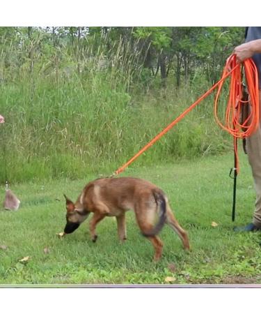 DogBone RealHide Deer Hide Drag for Tracking Dog Training - Buy Online on SooperMarket.com