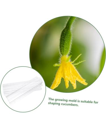 SUPVOX Horticulture 3pcs Vegetable Shaping Pots for Plants Garden Vegetable Growth Forming Fruit Pizza - Buy Online on SooperMarket.com
