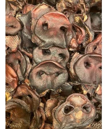 PAWS PARADISE 1kg x QUALITY BRITISH GRADE A PIGS SNOUTS