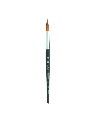 Princeton Aqua Elite  Series 4850  Synthetic Kolinsky Watercolor Paint Brush Long Round  12