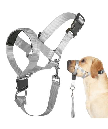 Dogs Halfter No Pull Training Tool for Dogs On Walking including training instructions for soft upholstery 5 (M gray) Medium gray