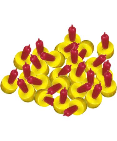 Soft Drink Bottle for Young Animals - Pack of 10 - Buy Online on SooperMarket.com