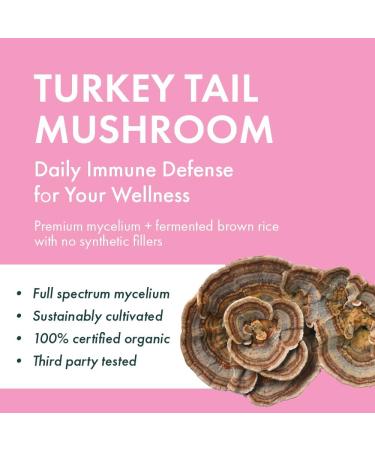 Host Defense Turkey Tail Mushroom Capsules Immune Support Mushroom Supplement Source of Fungal Polysaccharides Certified Organic Vegetarian Capsules 1000 mg Potency Turkey Tail Mushroom Capsules 60 count (Pack of 1) - Buy Online on SooperMarket.com