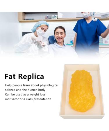 Fat Replica 1 Lb Real Soft Touch Fat Model A True Replica of Human Fatty Tissue for Anatomy Physiology Science Technology Students Nutritionists Doctor Dietitians - Buy Online on SooperMarket.com