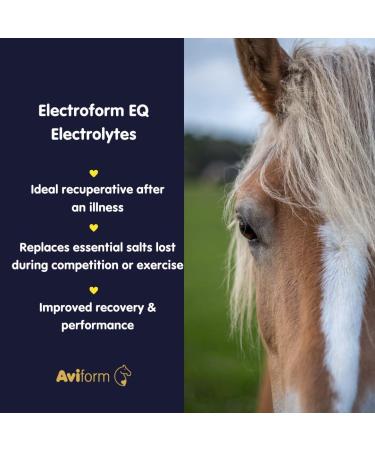 Aviform ELECTROFORM EQ | Equine Electrolytes | 1kg Compostable Pouch | Fast Delivery - Buy Online on SooperMarket.com