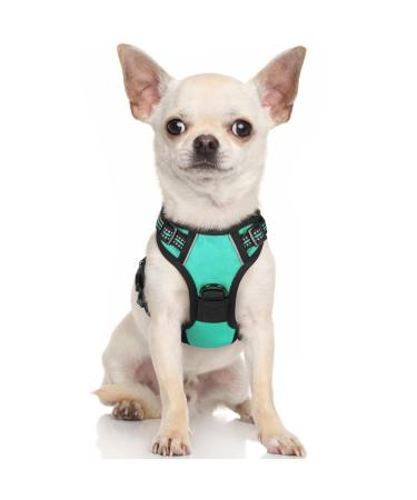 Rabbitgoo dog harness Small dog anti -train cuddling dog with control no pull adjustable dog harnesses large dogs breathable reflex stripes breast harness dog safe guidance green xs XS (1 Pack) mint green