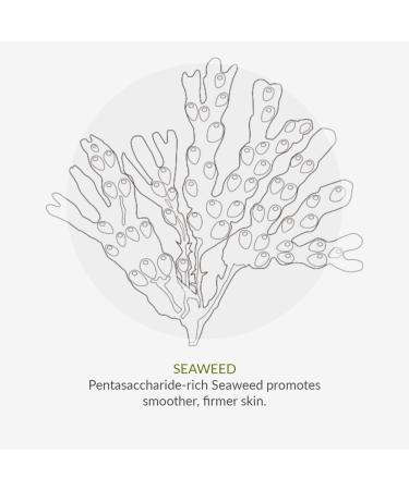 Green People Perfume-Free Eye Cream 10ml | Organic Anti-Aging Moisturizer for Sensitive Skin | Vegan & Paraben-Free | Gentle Eye Care - Buy Online on SooperMarket.com