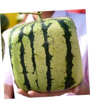 OSALADI Fruit Pumpkin Tools Watermelon Forming Molds Gardening Supplies Vegetable Stereotypes Moss 15x15cm Transparent - Buy Online on SooperMarket.com