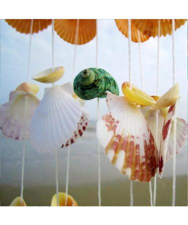 100+ Pcs WEOXPR Mixed Sea Shells & Starfish - Beach Themed Decor for Fish Tank, Vase Fillers, Wedding, Crafts & Home Decor - Buy Online on SooperMarket.com