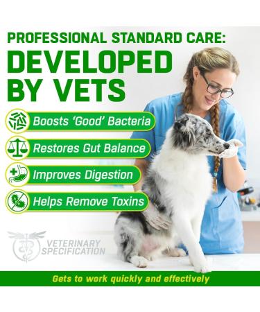 CANIVET Probiotics for Dogs. Canine Dietary Supplement - Aids Digestive Health 100g Powder Dog Probiotic. 5 Billion CFU** with 10 Strains of Good Bacteria for your Dog's Digestive Health. 100 g (Pack of 1) - Buy Online on SooperMarket.com
