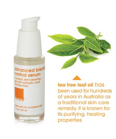 LATHER AHA + BHA Exfoliating Serum - Salicylic Acid & Lactic Acid for Oily Acne-Prone Skin - Oil-Free Facial Treatment - 1 Fl Oz - Buy Online on SooperMarket.com