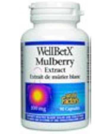 WELLBETX MULBERRY EXTRACT 100MG - 90 CAPS