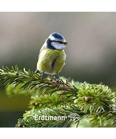 Erdtmanns 35 Fat Balls in Bucket - 3 kg Bird Feed for Garden - No Net - International Shipping Available - Buy Online on SooperMarket.com