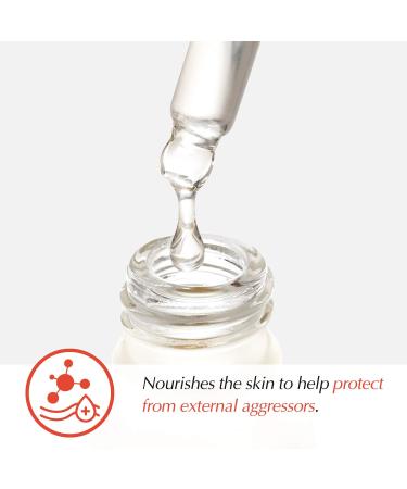 Camellia Seed Oil Serum 20ml - Nourishing & Moisturizing | International Shipping Available - Buy Online on SooperMarket.com