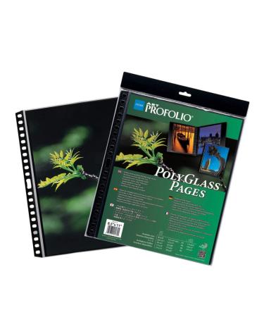 ProFolio by Itoya, Art ProFolio PolyGlass, 10-Pack Multi-Ring Binder Refill Pages - Portrait, 16 x 20 Inches