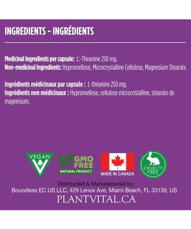 PlantVital High Potency L-Theanine 250mg Capsules - 240 Count - L Theanine Supplement for Relaxation and Stress Management Non-GMO Made in Canada - L-Theanine Supplements 8 Month Supply 240 count (Pack of 1) - Buy Online on SooperMarket.com